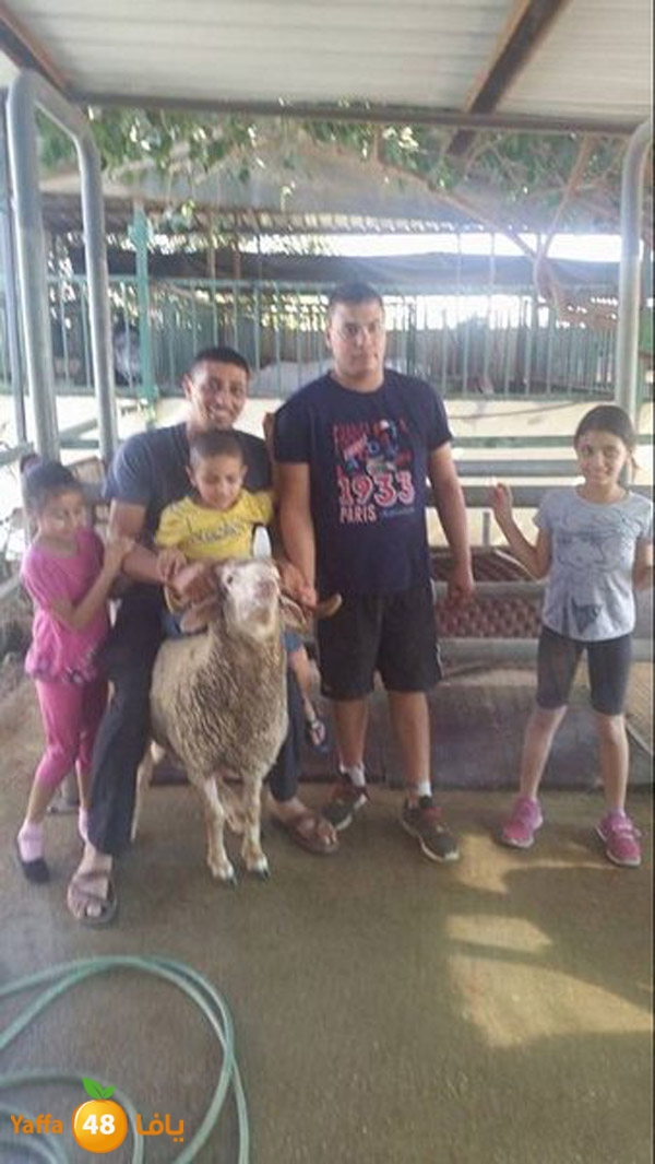 dabe7 ludj31 (66).jpg